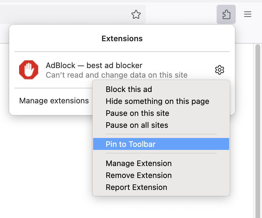 Show the AdBlock icon in your browser toolbar – AdBlock